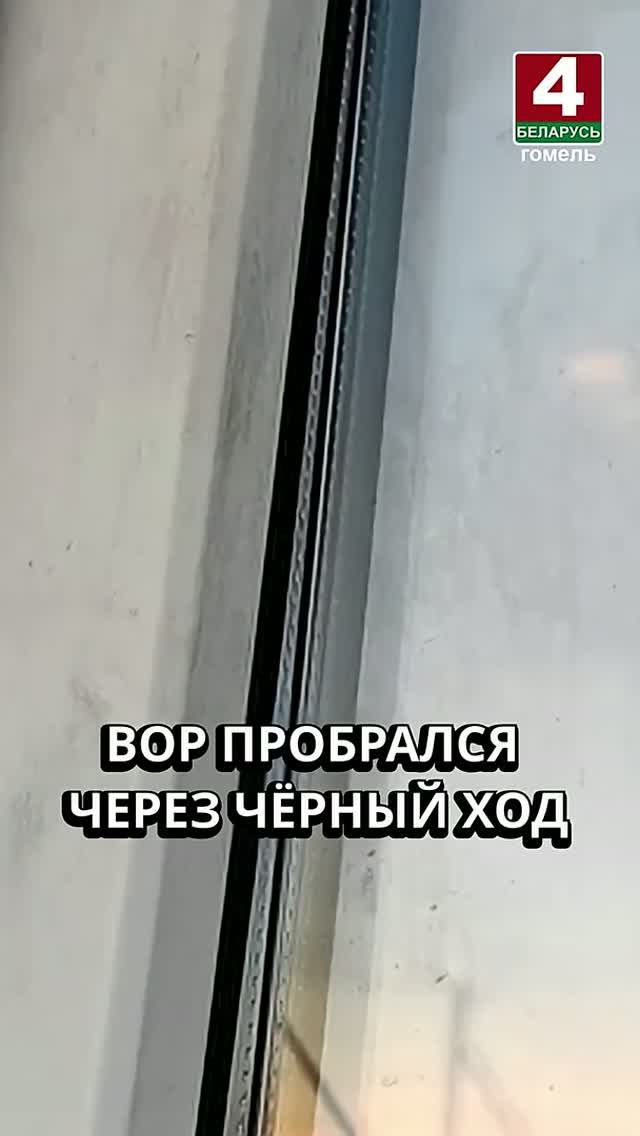 ВОР ПРОБРАЛСЯ ЧЕРЕЗ ЧЁРНЫЙ ХОД #гомель #новости #беларусь