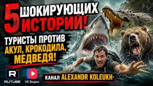 5 Шокирующих историй! Туристы против акул, крокодила, и медведя!