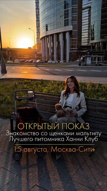 15 августа 
Традиционный открытый показ — знакомство со щенками мальтипу  «Ханни Клуб» 🐶❤️