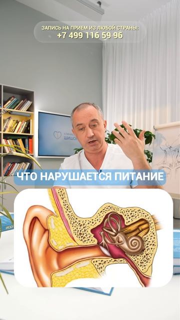 Нейросенсорная тугоухость / Причины / Лечение #Шишонин