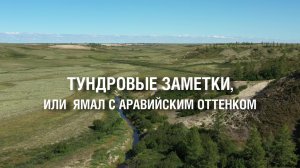 ТУНДРОВЫЕ ЗАМЕТКИ, ИЛИ ЯМАЛ С... АРАВИЙСКИМ ОТТЕНКОМ