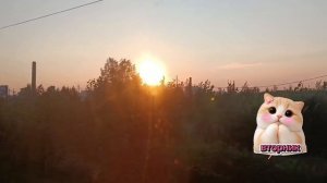 Добра вам мои друзья с утра. Встречаем вторник. пусть 👍👏😆мое видео порадует.