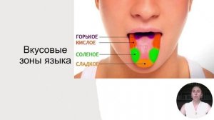 Органы чувств 2