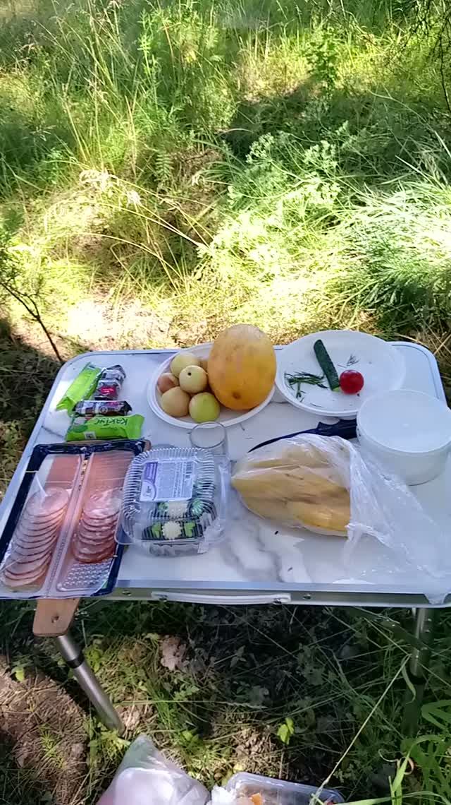 Лесной привал