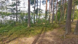 Озеро, засыпанное огромными валунами на Карельском перешейке в Ленинградской области.