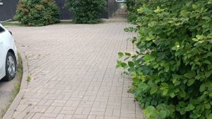 На счёт сбоев на Рутуб и их статистики