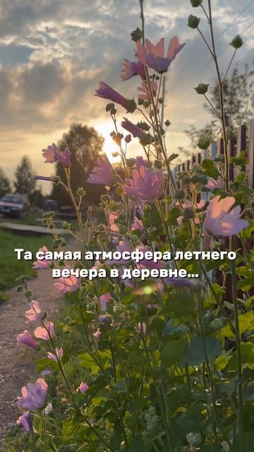 Почувствуй эту атмосферу лето закат деревня родина