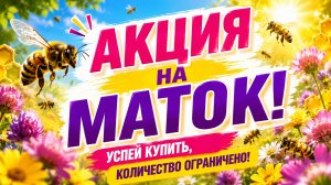 Акция на пчеломаток