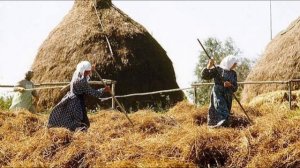 12 августа - Силуан и Сила. Народные приметы и традиции