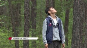 В Бурятии начинается сезон грибов и ягод