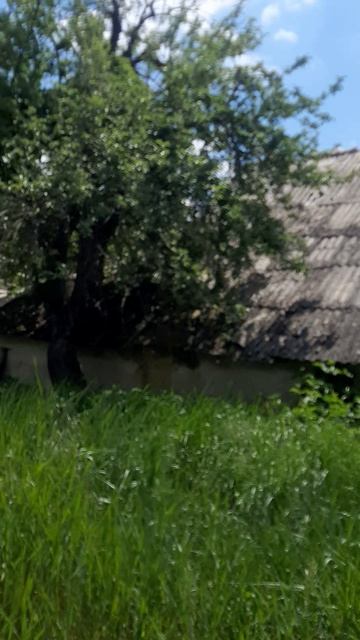 прогулочка.