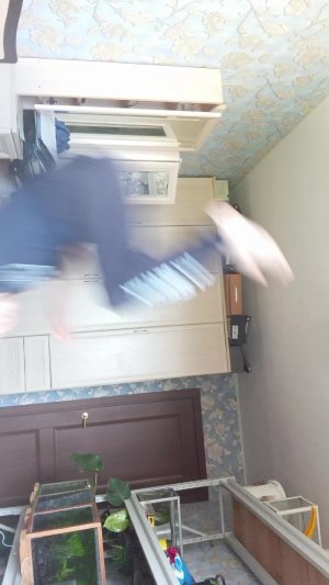 всем привет