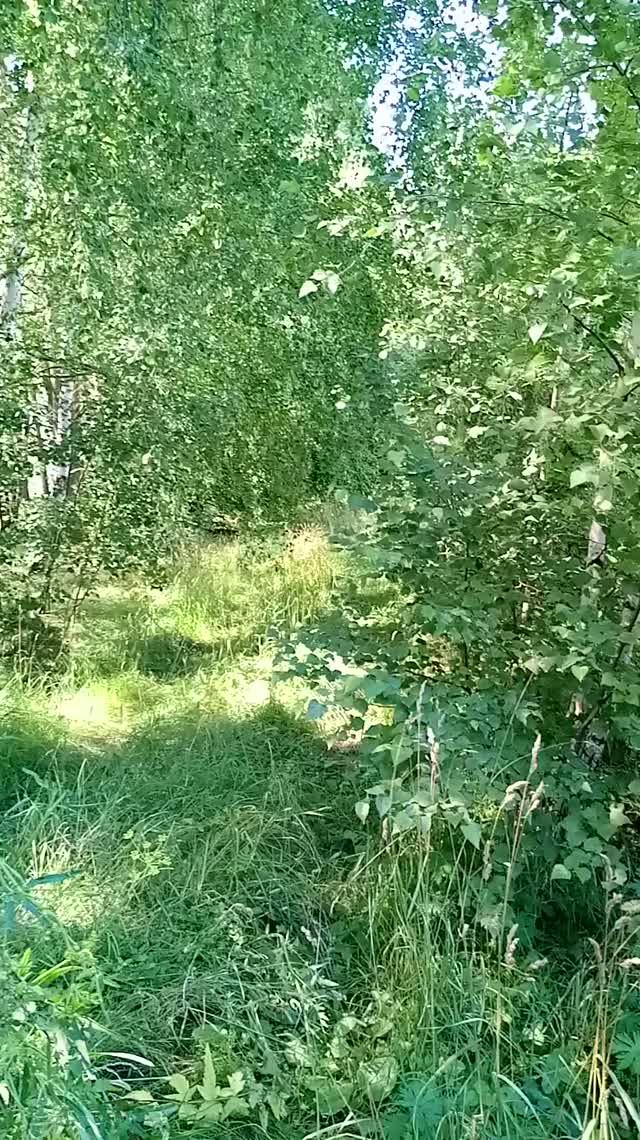 Даже на природе можно найти удивительные места