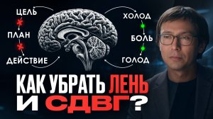 СДВГ и прокрастинация — всего 1 простое действие перезапустит твой МОЗГ