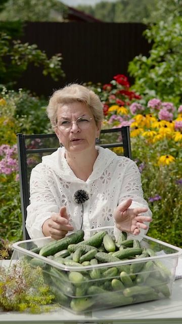 Не делайте так при посадке огурцов! 🥒