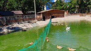 ЕЙСК 19 ЗАШЛИ В ЦЕРКОВНЫЙ ДВОРИК