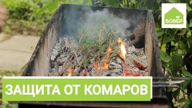 Кусают комары! Избавляемся от комаров на природе. Советы для дачников и туристов