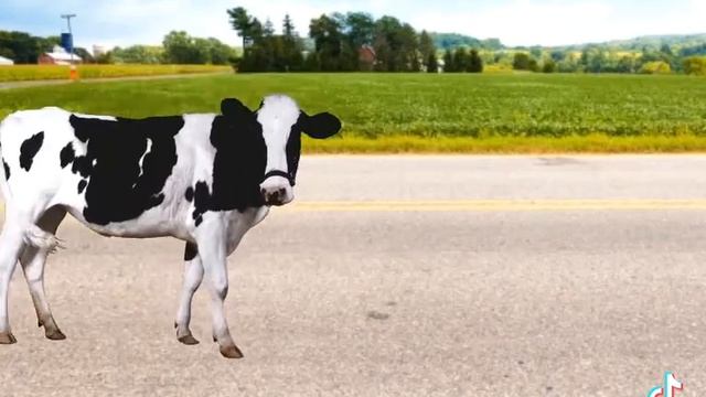 Угар😂🤣