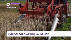 Научный центр в Уссурийске начал заготовку семян для сельхозпроизводителей