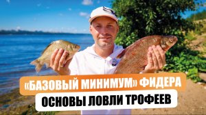 «Базовый минимум» фидерной ловли. Основы фидера для новичков