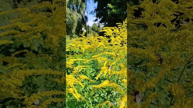Благодарность за прожитый день.