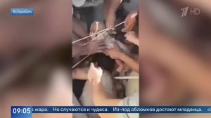Живого младенца достали из-под завалов в Колумбии после землетрясения: видео