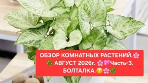 ОБЗОР КОМНАТНЫХ РАСТЕНИЙ.💖🌸 АВГУСТ 2026г.💖🌼 ЧАСТЬ-3.