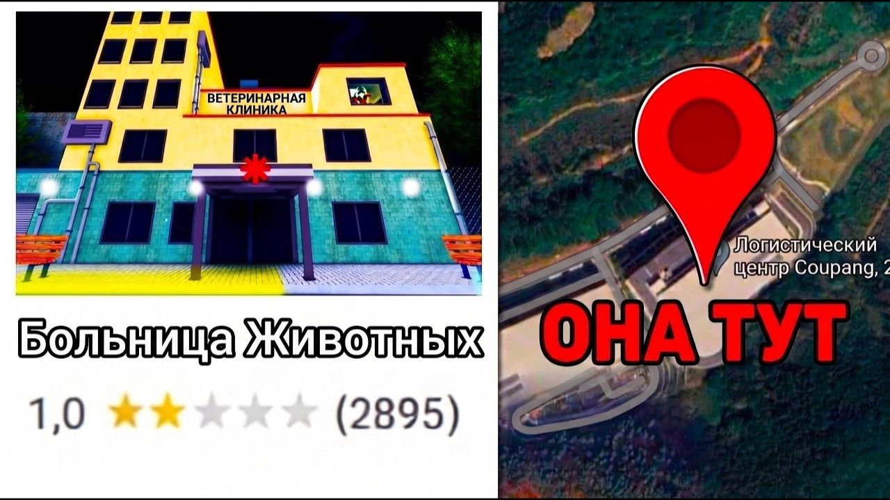 😱Я Нашел БОЛЬНИЦУ ДЛЯ ЖИВОТНЫХ в РЕАЛЬНОЙ ЖИЗНИ (Animal Hospital Roblox)