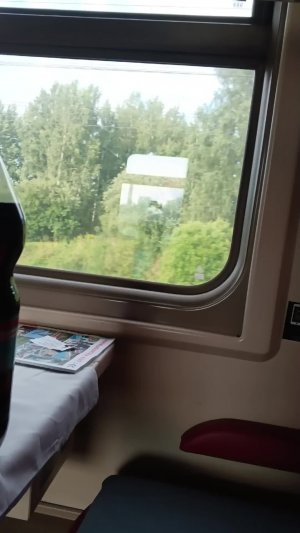 Поездка на 47. поезд.от славянки. до Колпино. Эфир от 18:06 11.08.2026Г.