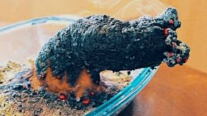 5 ОПЫТОВ КОТОРЫЕ ВАМ НЕ СТОИТ ПОВТОРЯТЬ