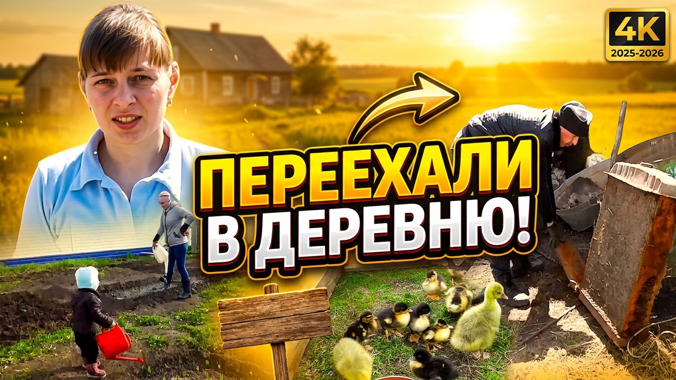 ПОЛУЧИЛ ПРАВА. КУПИЛИ УТЯТ И ГУСЯТ. КОПАЮ ЖЕЛЕЗО. ИЗ ГОРОДА В ДЕРЕВНЮ  32 серия