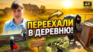 ПОЛУЧИЛ ПРАВА. КУПИЛИ УТЯТ И ГУСЯТ. КОПАЮ ЖЕЛЕЗО. ИЗ ГОРОДА В ДЕРЕВНЮ  32 серия