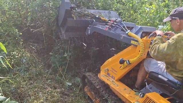 Baumech и дебри 2.