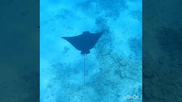 Полёт по Gardens Bay!