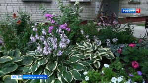В Кирове продолжается прием заявок на конкурс «Цветущий город»