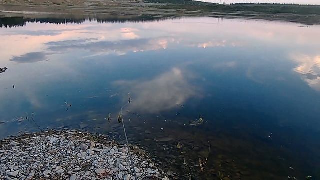 Ловля щуки в лужах