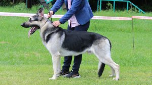Элита Урала Агент