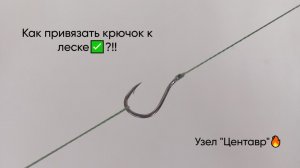Как привязать рыболовный крючок к леске✅? Узел «Центавр» (Centauri knot)🔥! Рассказываю и показываю!