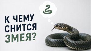 к чему снятся змеи,  к чему снится белая змея сон много змей к чему снится женщине напала змея
