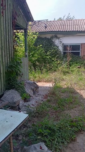 Заброшенные деревянные домики возле моря в с. Угловое, КРЫМ (часть 2)