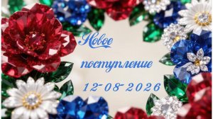 Новое поступление 12-08-2026