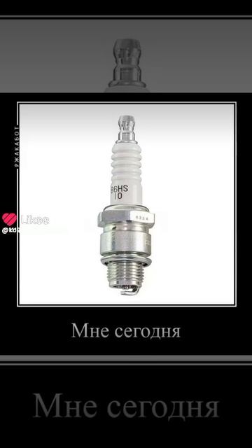 1000007678.mp