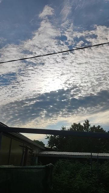 КУБАНСКОЕ УТРО