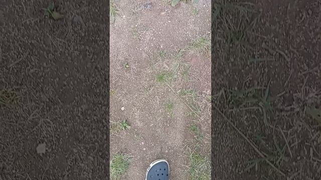 призрочеая собака 3 серия