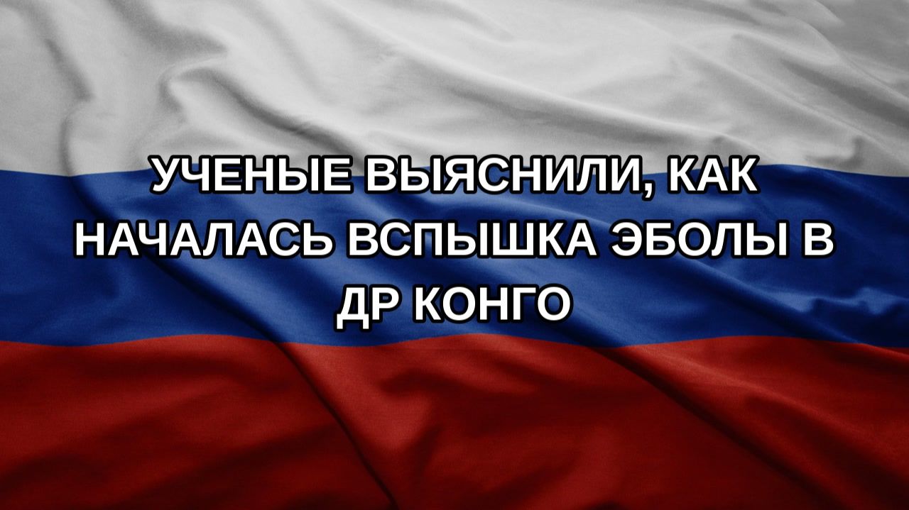Ученые выяснили, как началась вспышка Эболы в ДР Конго