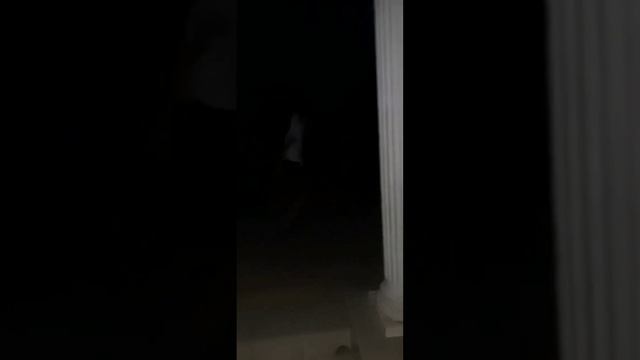 мой тур по тёмным переулкам с уткой ( больше её никто не видел, шучу, видели )