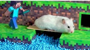 🐹 Хомяк проходит лабиринт в стиле Minecraft | Реальный кубический мир для грызуна
