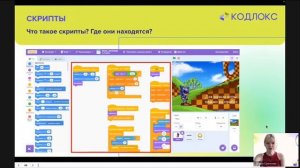 Как проходят занятия в школе Кодлокс
