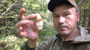 ПЯТЬ МЕСТ В ЛЕСУ ЗА ОДИН ДЕНЬ! МОЙ МАРШРУТ: 5 ТОЧЕК В ЛЕСУ И ОБЩИЙ РЕЗУЛЬТАТ СБОРА 🍄🌲