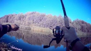 Сегодня вечерком на пару часиков порыбачил на фидер🎣 Прикормка Жмых-Дробленка.